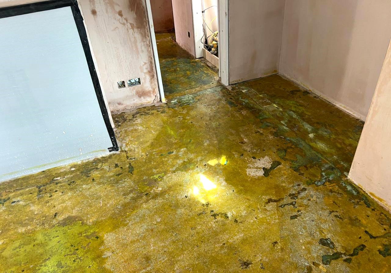 Glue down engineered wood latex floor preparation